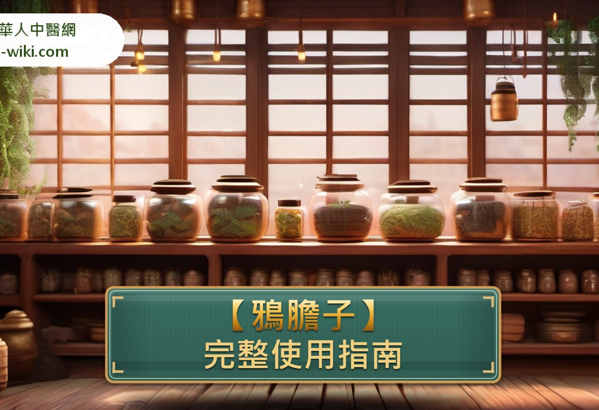 鴉膽子完整使用指南:功效、禁忌、怎麼用與注意事項 banner image