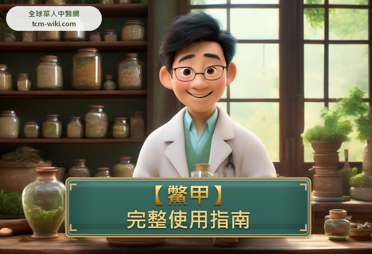 鱉甲完整使用指南:功效、禁忌、怎麼用與注意事項 banner image